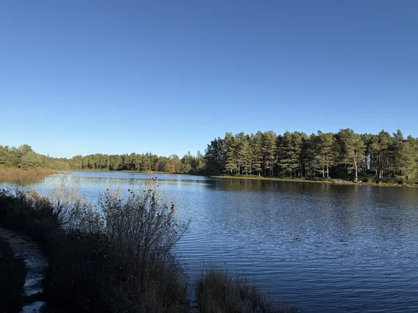 Calm lake with open sky and tree line